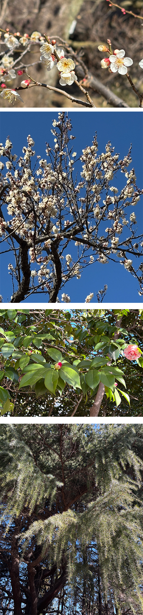 波動マントラアート