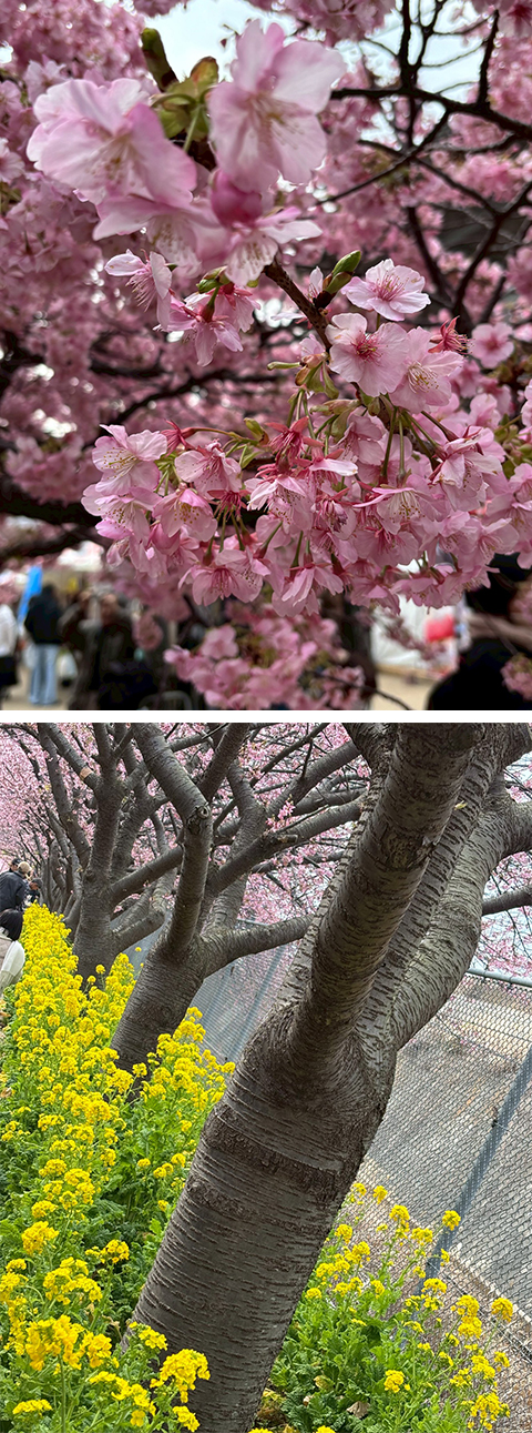 波動マントラアート