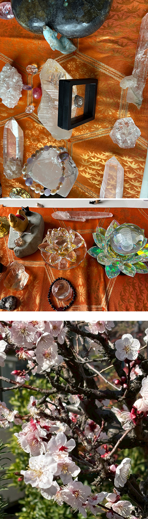 波動マントラアート