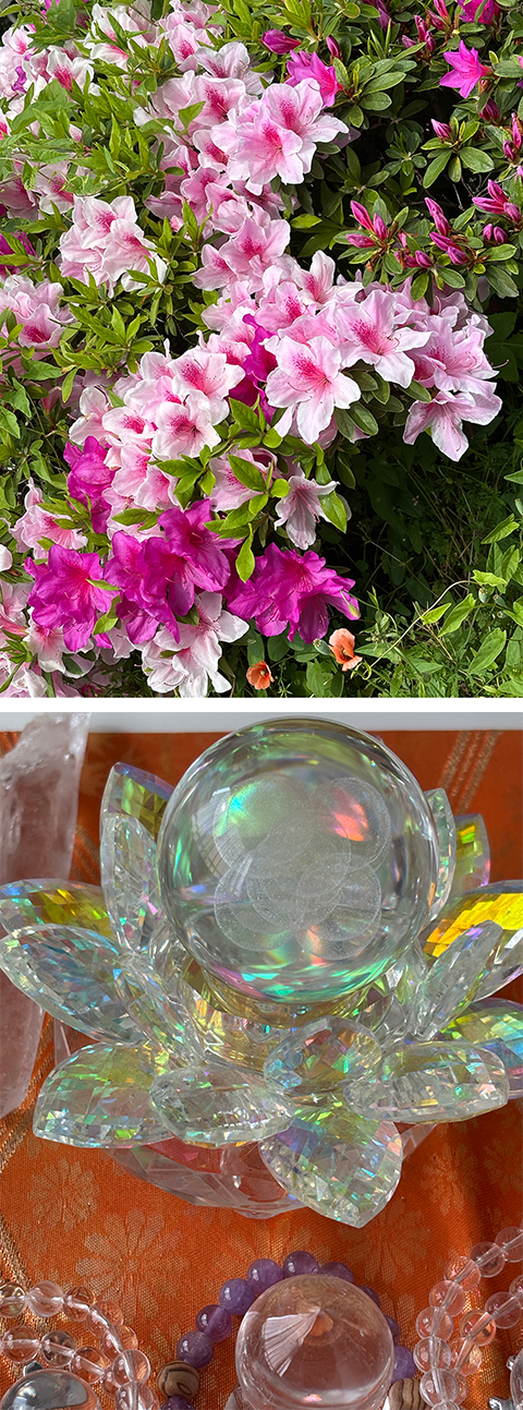 波動マントラアート